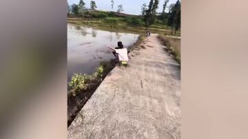 Patinadores