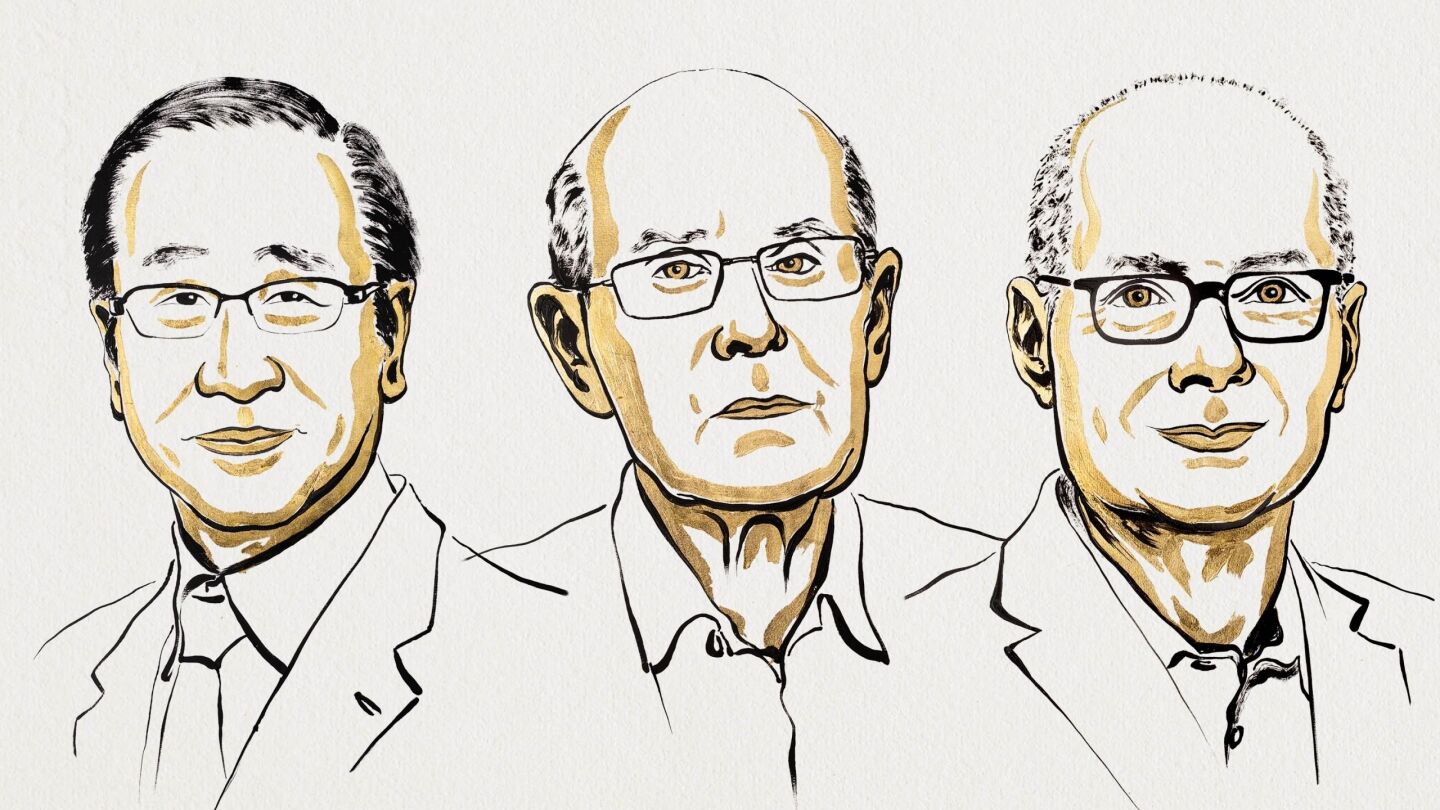 Premio Nobel de Qu&iacute;mica para Susumu Kitagawa, Richard Robson y Omar Yaghi 