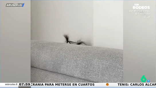 El divertido vídeo viral de la niña a la que pillan siempre cuando juega al escondite por culpa de sus coletitas El divertido vídeo viral de la niña a la que pillan siempre cuando juega al escondite por culpa de sus coletitas