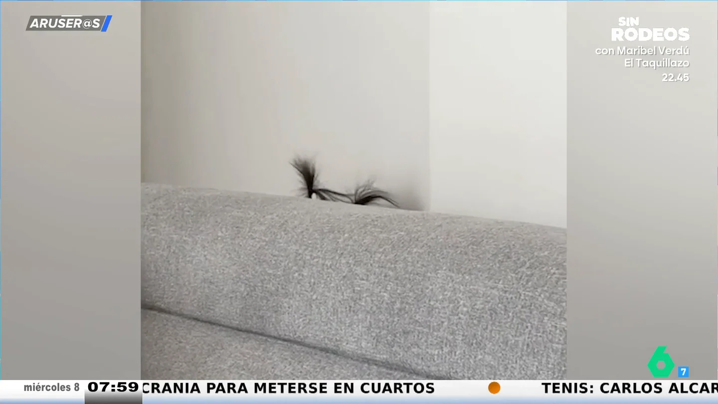 El divertido vídeo viral de la niña a la que pillan siempre cuando juega al escondite por culpa de sus coletitas El divertido vídeo viral de la niña a la que pillan siempre cuando juega al escondite por culpa de sus coletitas