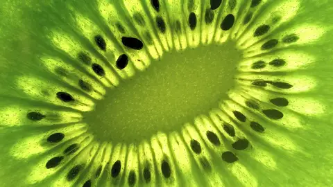 Kiwi Kiwi