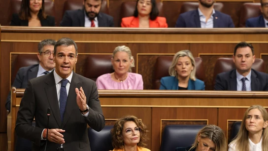 Imagen de Pedro Sánchez en el Congreso. Imagen de Pedro Sánchez en el Congreso.