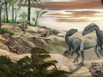 Dinosaurios Dinosaurios