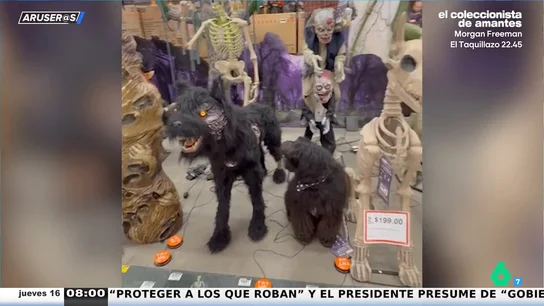 Perros vs. Halloween: sustos, disfraces y confusión, el vídeo recopilatorio más divertido de Aruser@s Perros vs. Halloween: sustos, disfraces y confusión, el vídeo recopilatorio más divertido de Aruser@s