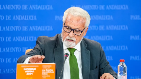 El Defensor del Pueblo Andaluz, Jesús Maeztu, durante una rueda de prensa El Defensor del Pueblo Andaluz, Jesús Maeztu, durante una rueda de prensa