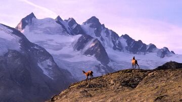Gran Paradiso