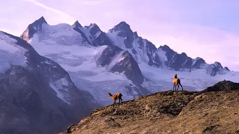 Gran Paradiso Gran Paradiso