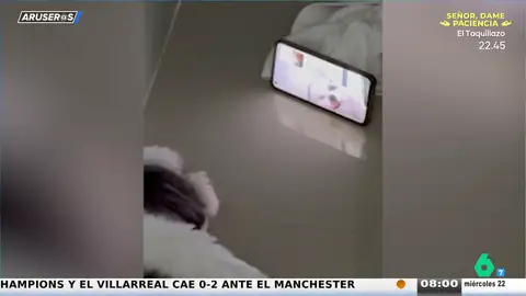 El entrañable vídeo viral de Yuri, el perro que habla con su dueño anciano por videollamada: "Él está de viaje y se llaman para verse" El entrañable vídeo viral de Yuri, el perro que habla con su dueño anciano por videollamada: "Él está de viaje y se llaman para verse"