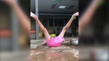 Catapulta