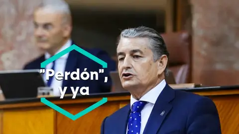 El consejero de Sanidad, Antonio Sanz. El consejero de Sanidad, Antonio Sanz.