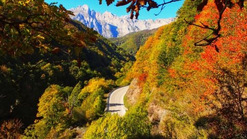 Picos de Europa