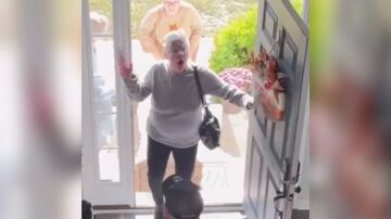 Abuela