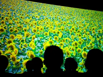 Televisor de alta definición Televisor de alta definición