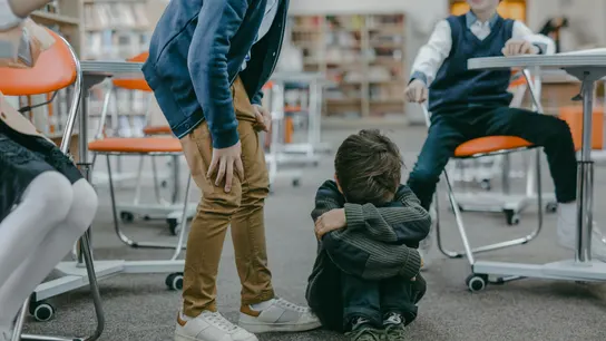 Acoso escolar Acoso escolar