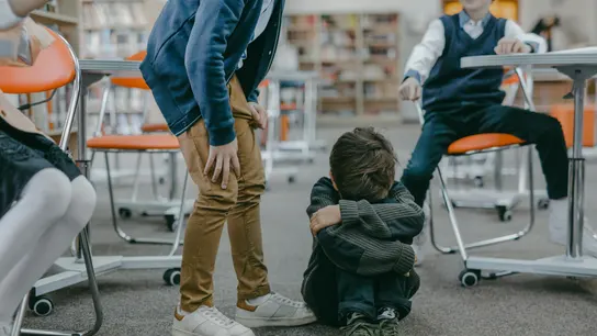 Acoso escolar Acoso escolar