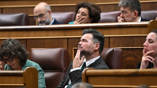 El portavoz de ERC en el Congreso, Gabriel Rufián, durante una sesión en la Cámara Baja El portavoz de ERC en el Congreso, Gabriel Rufián, durante una sesión en la Cámara Baja