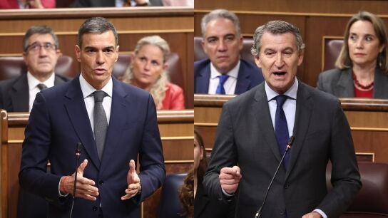 Pedro S&aacute;nchez y Alberto N&uacute;&ntilde;ez Feij&oacute;o