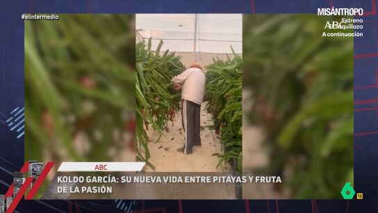 Mientras el Tribunal Supremo propone juzgarle, Koldo Garc&iacute;a ha puesto en marcha un cultivo de pitayas, kiwis, aguacates y fruta de la pasi&oacute;n. En este v&iacute;deo, Dani Mateo analiza esta nueva faceta.
