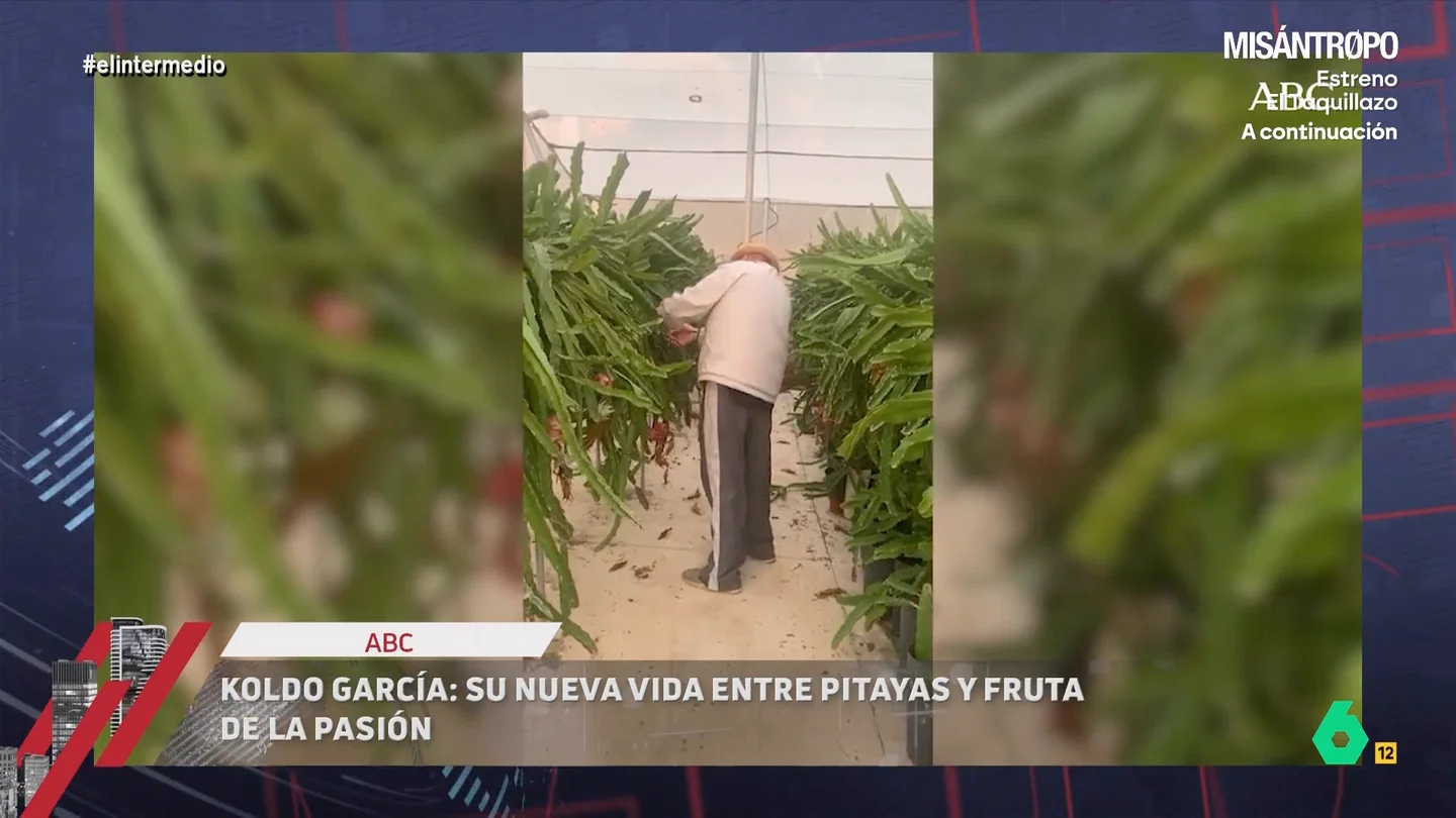 Dani Mateo, sobre el cultivo de Koldo en Alicante: "La decepción del frutero cuando dijo que le llevaba 500 lechugas y eran de verdad" Mientras el Tribunal Supremo propone juzgarle, Koldo García ha puesto en marcha un cultivo de pitayas, kiwis, aguacates y fruta de la pasión. En este vídeo, Dani Mateo analiza esta nueva faceta.