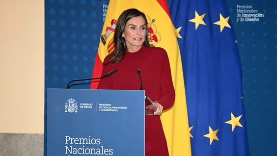 La reina Letizia durante los Premios Nacionales de Innovación y de Diseño La reina Letizia durante los Premios Nacionales de Innovación y de Diseño