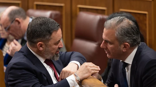 Santiago Abascal y Javier Ortega Smith en el Congreso de los Diputados Santiago Abascal y Javier Ortega Smith en el Congreso de los Diputados