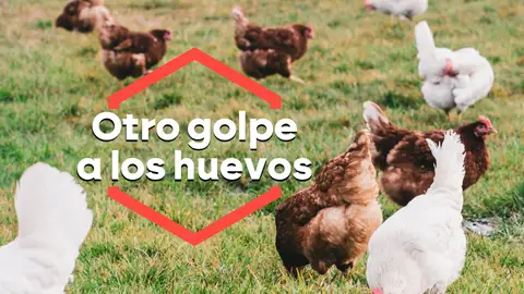 Otro golpe a los huevos Otro golpe a los huevos