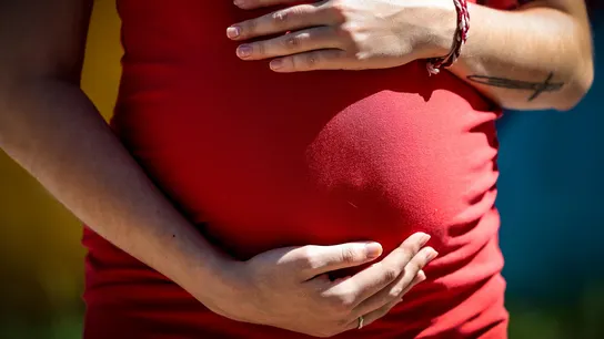 Fiscalía pide a Igualdad bloquear 13 webs extranjeras que ofrecen vientres de alquiler La Fiscalía logra cerrar por primera vez campañas publicitarias de vientres de alquiler en internet