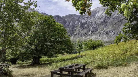 Merendero en El Habario Merendero en El Habario