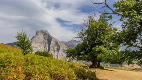 El Habario El Habario