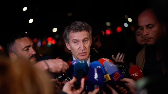 El líder del Partido Popular, Alberto Núñez Fejióo El líder del Partido Popular, Alberto Núñez Fejióo