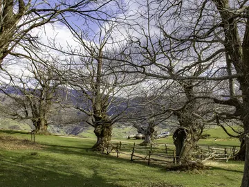 El Habario El Habario