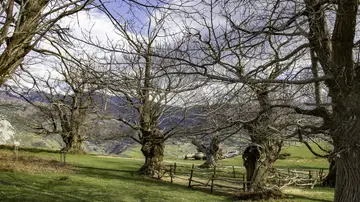 El Habario El Habario