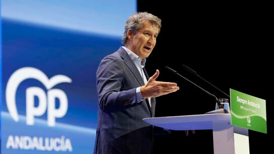 Alberto N&uacute;&ntilde;ez Feij&oacute;o