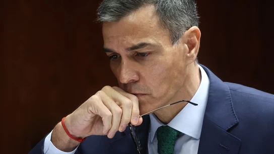 El presidente del Gobierno, Pedro Sánchez. El presidente del Gobierno, Pedro Sánchez.