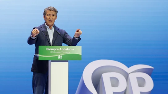 El líder del PP, Alberto Núñez Feijóo, comparece en un acto celebrado en Sevilla El líder del PP, Alberto Núñez Feijóo, comparece en un acto celebrado en Sevilla