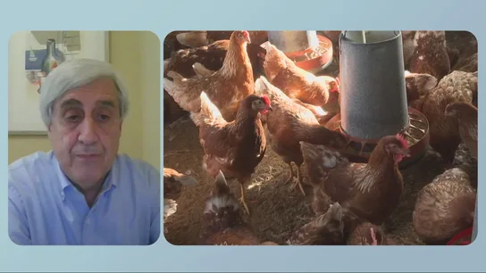 Un epidemiólogo aclara las dudas sobre la gripe aviar: "No va a ser un gran problema, el brote va a durar dos semanas, como mucho tres" Un epidemiólogo aclara las dudas sobre la gripe aviar: "No va a ser un gran problema, el brote va a durar dos semanas, como mucho tres"