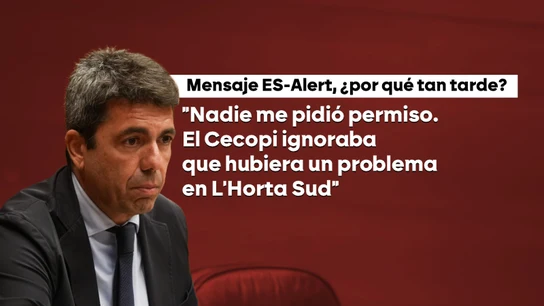 Carlos Mazón este martes en la comisión de investigación de Les Corts. Carlos Mazón este martes en la comisión de investigación de Les Corts.