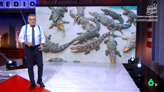 Wyoming compara a la ultraderecha con un cocodrilo: "Vive en las ciénagas más turbias y es extremadamente agresivo" El presentador expone que existen personas que se creen capaces de domesticar a este animal y lo hacen con "leyes reaccionarias, cuotas de poder desmedidas en gobiernos autonómicos o, incluso, concesiones".