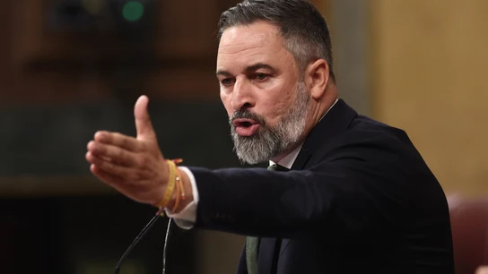 El presidente de Vox, Santiago Abascal, durante una sesión de control al Gobierno, en el Congreso de los Diputados El presidente de Vox, Santiago Abascal, durante una sesión de control al Gobierno, en el Congreso de los Diputados
