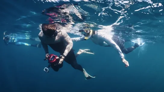 Gotzon Mantuliz y Silvia Abril logran capturar la imagen más esperada: la migración de las móbulas Gotzon Mantuliz y Silvia Abril logran capturar la imagen más esperada: la migración de las móbulas