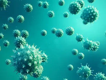 Virus de la gripe Virus de la gripe