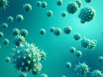 Virus de la gripe Virus de la gripe