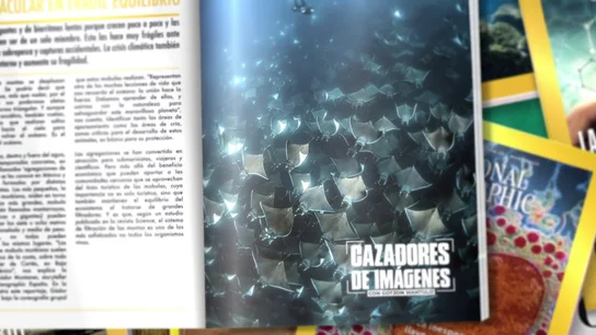 Un mes después, en Madrid: Gotzon Mantuliz muestra a Silvia Abril la foto publicada en National Geographic Un mes después, en Madrid: Gotzon Mantuliz muestra a Silvia Abril la foto publicada en National Geographic