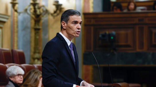 El presidente Pedro S&aacute;nchez en el Congreso
