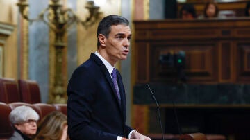 El presidente Pedro S&aacute;nchez en el Congreso