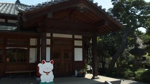 Gotokuji, el templo budista que está repleto de Maneki-nekos Gotokuji, el templo budista que está repleto de Maneki-nekos