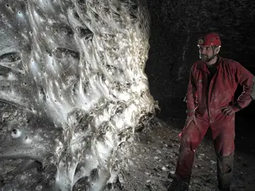 Descubren la telaraña más grande del mundo Descubren la telaraña más grande del mundo