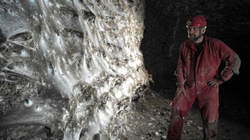 Descubren la telaraña más grande del mundo
