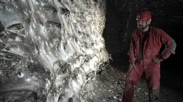 Descubren la telaraña más grande del mundo Descubren la telaraña más grande del mundo