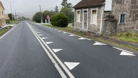 Dientes de dragon Dientes de dragon